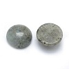 Natural Gemstone Cabochons X-G-P393-R47-6MM-2