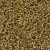 TOHO Round Seed Beads X-SEED-TR15-0747-2