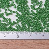 MIYUKI Delica Beads SEED-MY11-DB0724-4