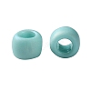 TOHO 8/0 Round Beads SEED-XTR08-0413F-3