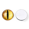 Glass Cabochons GGLA-T004-02E-1