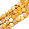 Natural Trochid Shell/Trochus Shell Beads Strands SHEL-S258-083-B10-1