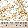 MIYUKI Round Rocailles Beads SEED-X0055-RR0493-3