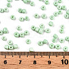 8/0 Baking Paint Glass Seed Beads SEED-R051-07B-08-4