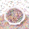 FGB Frosted Transparent Glass Seed Beads SEED-N013-05A-2