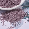 MIYUKI Delica Beads SEED-MY11-DB0758-1