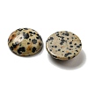 Natural Dalmatian Jasper Cabochons G-C115-02A-21-2