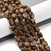 Natural Picture Jasper Beads Strands G-G146-A01-01-2