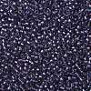 TOHO Round Seed Beads SEED-XTR11-0265-2