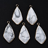 Natural Howlite Charms G-Q998-029C-1