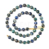 Natural Chrysocolla and Lapis Lazuli Beads Strands G-K389-B81-01-4