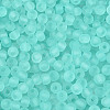 FGB Frosted Transparent Glass Seed Beads SEED-N013-02A-10-3