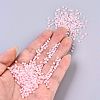 8/0 Glass Seed Beads SEED-A015-3mm-2221-4