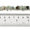 Natural Amazonite Chips Beads Strands G-M205-12-01-10