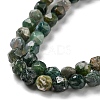 Natural Indian Agate Beads Strands G-C039-E01-4