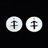 Natural Freshwater Shell Charms SHEL-N027-10C-2
