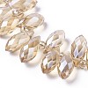 Electroplate Glass Faceted Teardrop Beads Strands EGLA-D014-32-3
