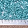 MIYUKI Round Rocailles Beads X-SEED-G007-RR2029-4