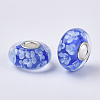 Handmade Lampwork European Beads LAMP-S193-004C-2