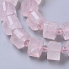Natural Rose Quartz Beads Strands G-G801-02-3