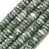 Natural Green Spot Jasper Beads Strands G-G329-A01-3x8mm-3