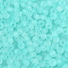 FGB Frosted Transparent Glass Seed Beads SEED-N013-04A-10-3