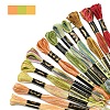 6-Ply Polyester Embroidery Floss OCOR-FZ0001-01K-2