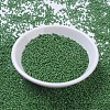 MIYUKI Round Rocailles Beads SEED-X0054-RR0431-2