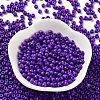 Baking Paint Glass Seed Beads SEED-H002-I-B516-2