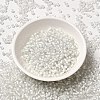 6/0 Transparent Glass Seed Beads SEED-F003-03A-07-2