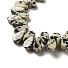 Natural Dalmatian Jasper Beads Strands G-B064-B11-4