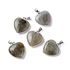 Natural Labradorite Pendants G-G956-B24-FF-2