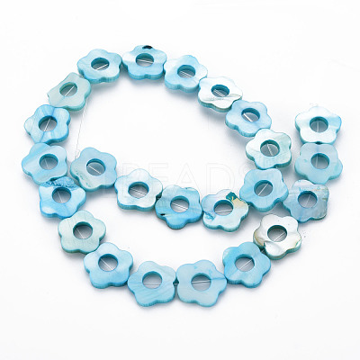 Freshwater Shell Beads Frames Strands SHEL-T009-14B-1