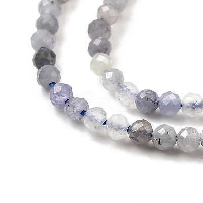 Natural Tanzanite Beads Strands G-S387-A01-2mm-1