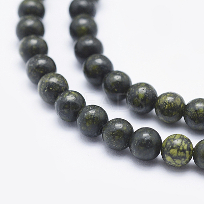 Natural Serpentine/Green Lace Stone Beads Strands X-G-P345-01-10mm-1