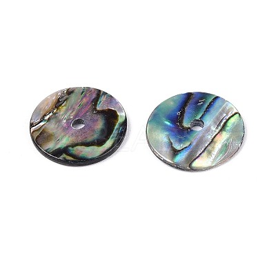 Natural Paua Shell Beads SSHEL-N040-20A-1