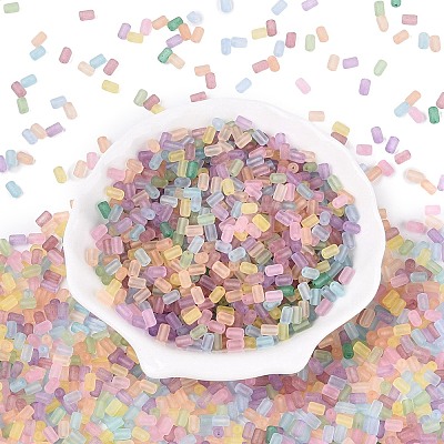 FGB Frosted Transparent Glass Seed Beads SEED-N013-05A-1