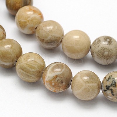 Natural Fossil Coral Round Bead Strands X-G-N0166-05-8mm-1
