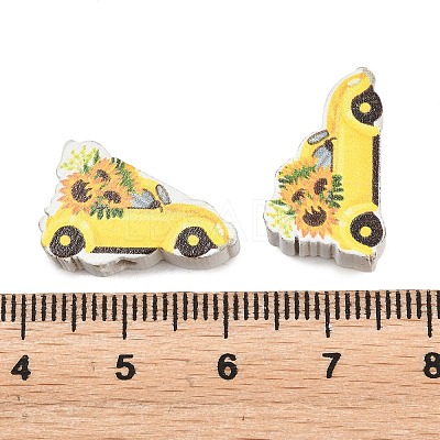 Printed Poplar Wood Beads WOOD-Z008-01B-1