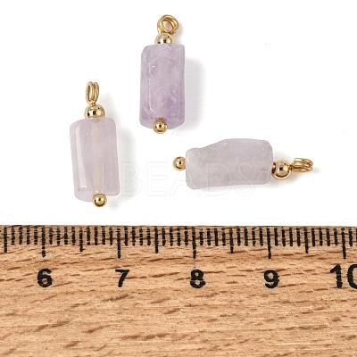 Natural Lepidolite Pendants GG-CBACE45-02G-09-1