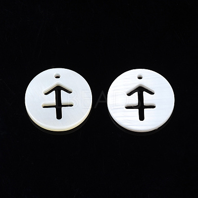 Natural Freshwater Shell Charms SHEL-N027-10C-1
