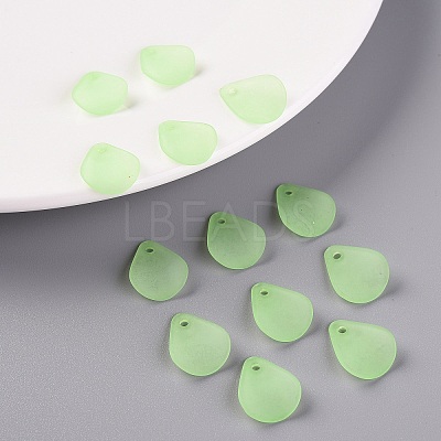 Transparent Frosted Acrylic Pendants MACR-S371-09A-733-1