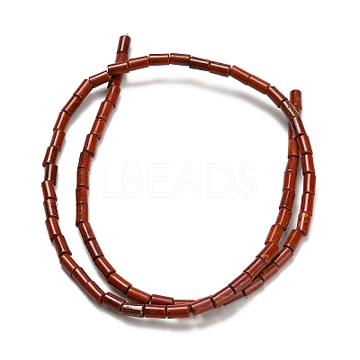Natural Red Jasper Beads Strands G-P600-B03-01-1