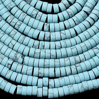 Dyed Synthetic Turquoise Beads Strands G-Z089-A04-F-1