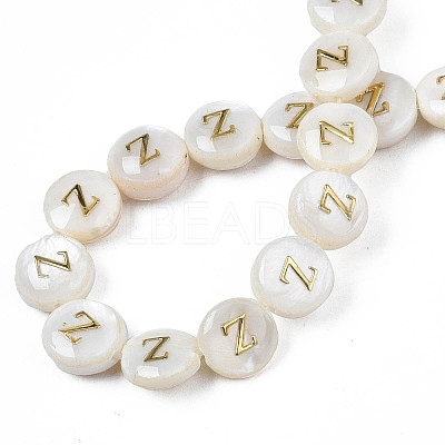 Natural Freshwater Shell Beads SHEL-S276-168Z-1