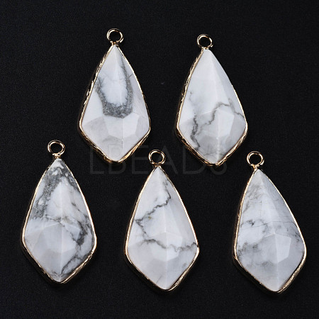 Natural Howlite Charms G-Q998-029C-1