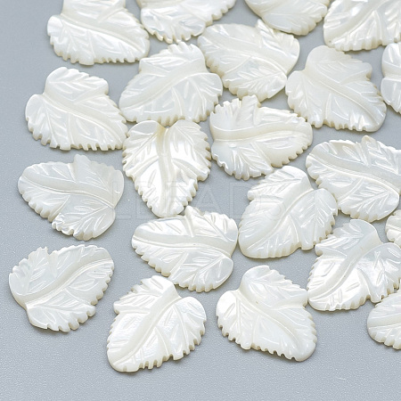 Natural White Shell Mother of Pearl Shell Cabochons SSHEL-S260-103D-1