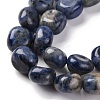 Natural Sodalite Beads Strands G-G146-A03-02-4