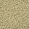 11/0 Grade A Baking Paint Glass Seed Beads X-SEED-N001-A-1033-2