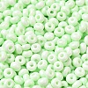 Baking Paint Glass Seed Beads SEED-B001-02A-11-3